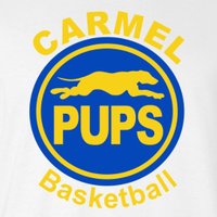 Pups Basketball (@carmelpupsbball) 's Twitter Profile