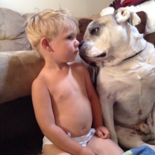 benritter3's profile picture. 