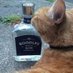 Gin and Tea Club (@ginandteaclub) Twitter profile photo Gin and Tea Club (@ginandteaclub) Twitter profile photo