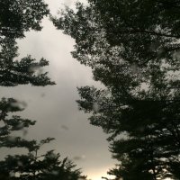 . (@kevinputera) 's Twitter Profile