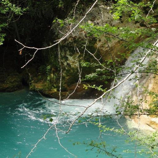 Apuesta_cambio's profile picture. Candidatura A1 para las elecciones a Junta de Gobierno del Colegio y Asociación de Ingenieros de Montes