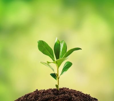 KVRR1979's profile picture. 