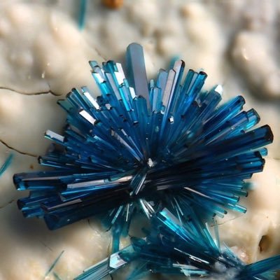 kujiranomure's profile picture. 成人済腐女子。アニメ特撮を愛してます。ジャンルはかなり雑食で、推しは右固定、主人公はほぼ左派。新規履修は一気見派なので突然古いのに沼ったりする。永久就職先多数：せんゆアルロス至上主義とか六番目の都市 紫ネズ過激派とかかぜつよ奈落の走灰固定厨など色々。推しポケは一生サトダネ。アイドル系はあんスはみかくんi7は2さん。