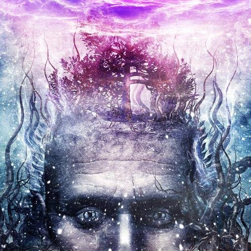 defnoodle's profile picture. Software Paneer/STEMLard
