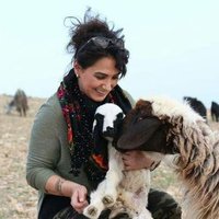 Özlem Bağlayan(@ozlembaglayan) 's Twitter Profile Photo