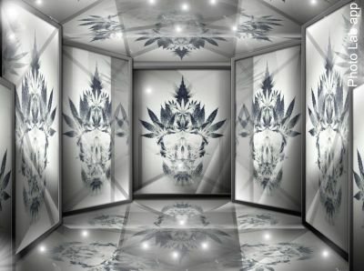 Jjones_513's profile picture. Make the Money don't let the Money Make you