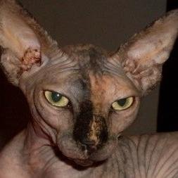 Princessfday's profile picture. 