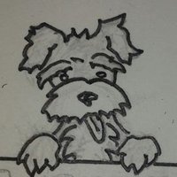 Scruffy Dug (@scruffy_dug) 's Twitter Profile