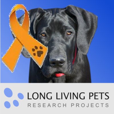big_old_dogs's profile picture. Long Living Pets Research Projects. A 30 yr. study into extending the life of pets and preventing cancer by feeding the food they are designed for; raw meats.