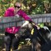 Susan Coyle (@susanjcoyle) Twitter profile photo Susan Coyle (@susanjcoyle) Twitter profile photo