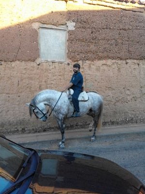 oscaru190's profile picture. tierra, mar y aire.....