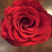 ارجواني (@_saaam82) 's Twitter Profile
