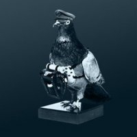 primeobjectives's profile picture. Camera + Movi Operator