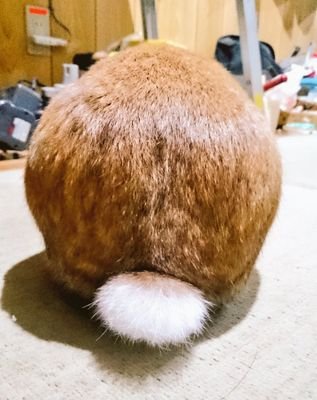 いよけつちゃんさんのプロフィール画像