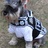 LaSoeur_Lumiere's profile image