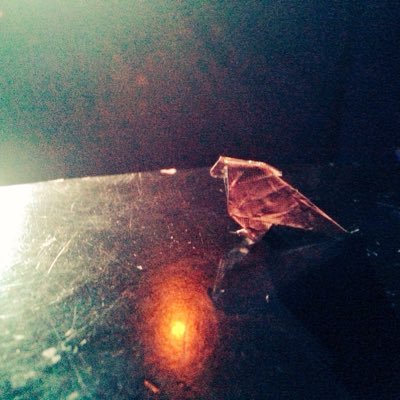 グラブルやらなんやらやってます(´Д` ) RT、いいねをするだけの垢と化してしまっている。 フォロー増やせないレベルまできました。