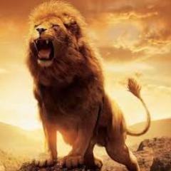 devguru13's profile picture. 