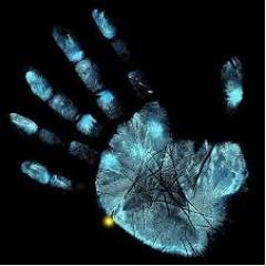 amidaPAM's profile picture. 