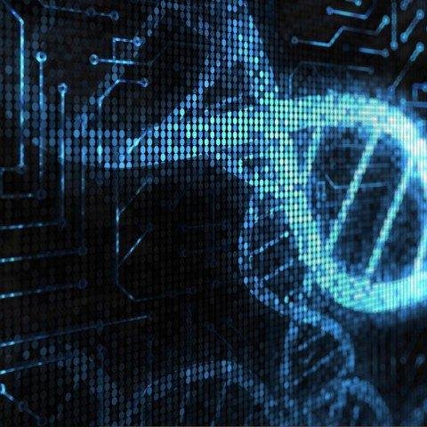 8vec8's profile picture. 