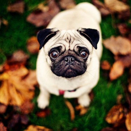 SMartinMedina's profile picture. Programador, Entusiasta IT, Estudiante e Hincha de Boca Juniors.