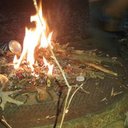 nick rea - @nickrea1029 - Twitter