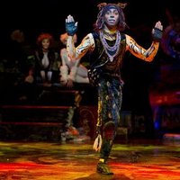 Rum Tum Tugger (@rumtumtugger_) 's Twitter Profile