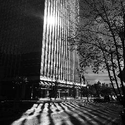 201_seventeenth's profile picture. 