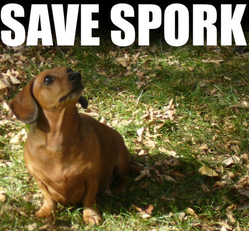 Spork is a 10-year-old mini dachshund who needs your help.