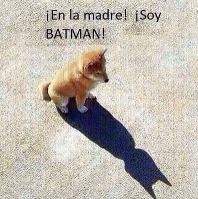 carmencancer241's profile picture. 