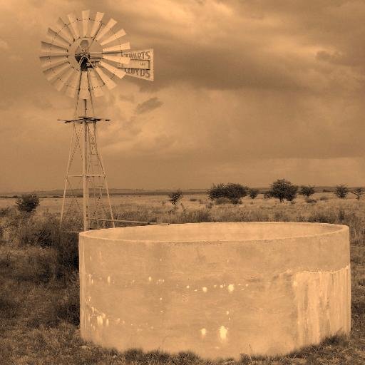 celestvdl's profile picture. 