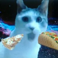 Percy® (@paulirubiusgati) 's Twitter Profile