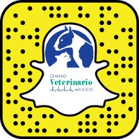 CentroVeterinarioMex (@centroveme) 's Twitter Profile