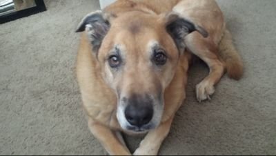 cholly100's profile picture. FREEDOM 🇺🇲🇺🇸