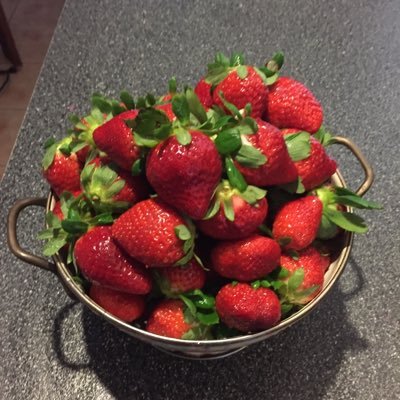 vm_lowry's profile picture. 