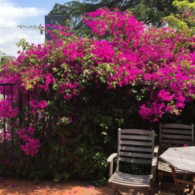 StamieLARealtor's profile picture. 