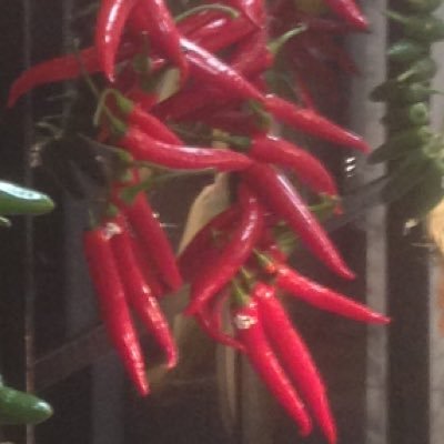 DarrenJMathews's profile picture. 