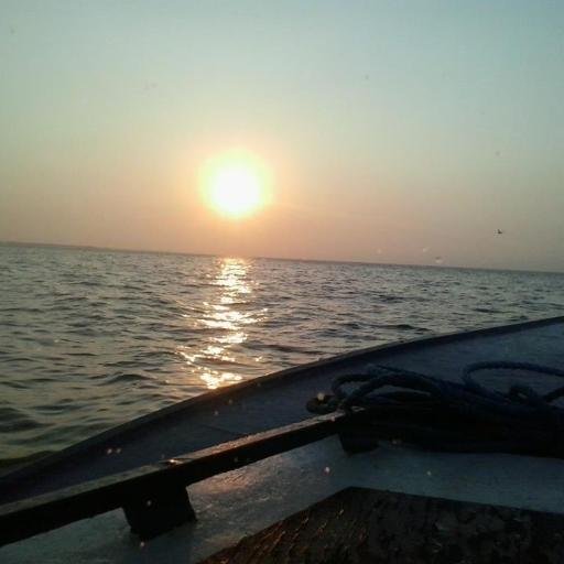 ashleym92811's profile picture. 