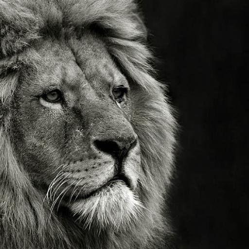 Arise_Israel's profile picture. Pro-life, pro-Israel Christian RN/Paralegal, AF Veteran
Trump is a God-send...  "Hallelujah!"
Christians win!  Zechariah 12:2,3; Zechariah 14:1-9