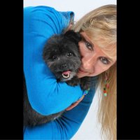 dale reinders (@deedeepool) 's Twitter Profile
