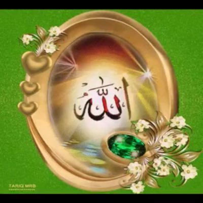 AyanMahamed4's profile picture. 