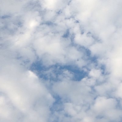 Nickwiz25's profile picture. 