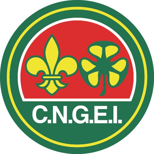 Scout CNGEI ⚜️☘