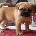 kylie snyder - @kykyswimstar - Twitter