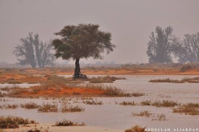 teeeeef9's profile picture. 