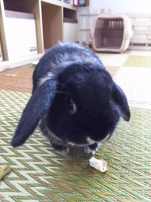 みやさんのプロフィール画像