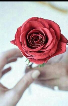 ‏آلُعٍزلُآآلُنْفَس ۆآجٍبْ ۆآلُحٍيَآسنْہ..
.ۆآنْآيَدِيَنْيَ منْ آلُثْنْتٌيَنْ ملُيَآنْہ..
لاارغب ان يتابعني من لديه مقاطع وصورمحرمه ...ولن احلله