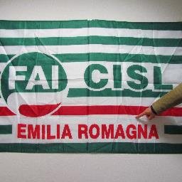 Fai cisl E R