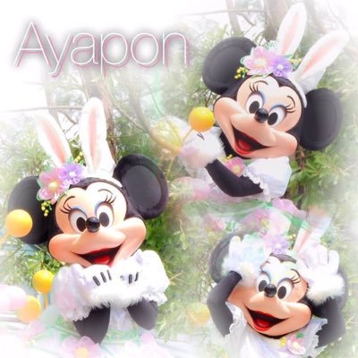 あ や ぽ ん*ﾟさんのプロフィール画像