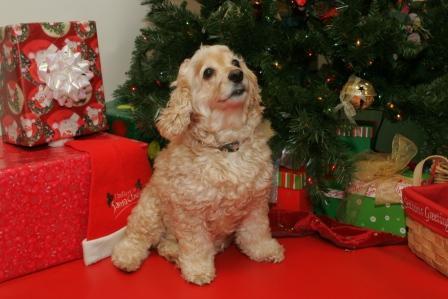 volkathy's profile picture. Located in Beautiful East Tennessee - I actually invented sunshine - someone else had already invented moonshine.