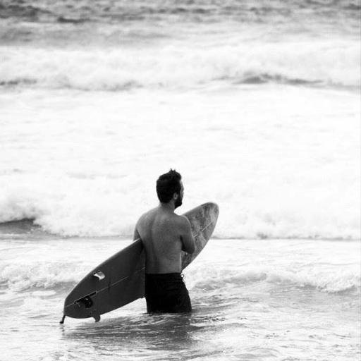 dynaum's profile picture. Dev